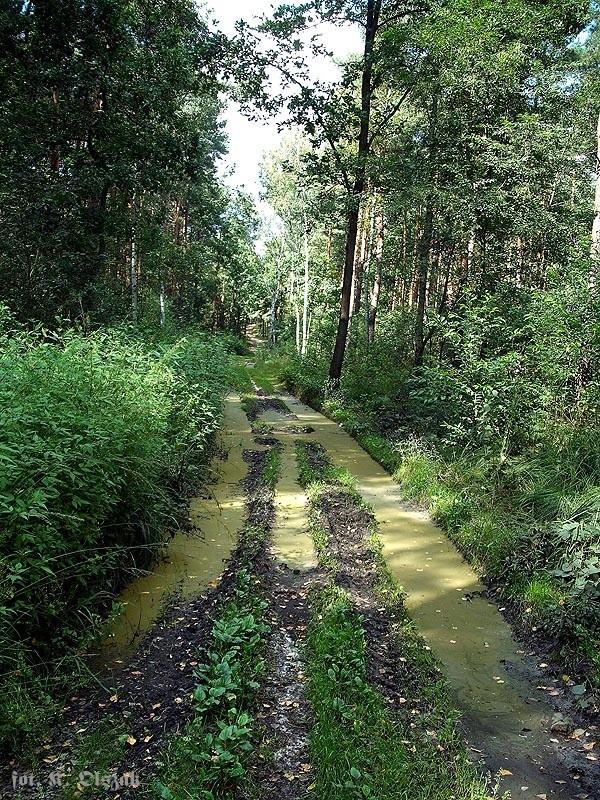 Droga pożarowa (1)