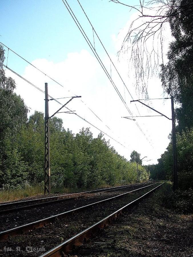 Linia 449, kilometr 20.4