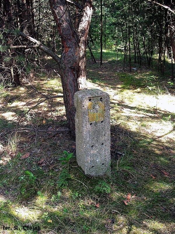 Zimnowojenna łącznica (5)