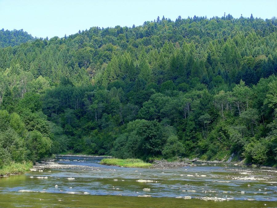 Widok z mostu