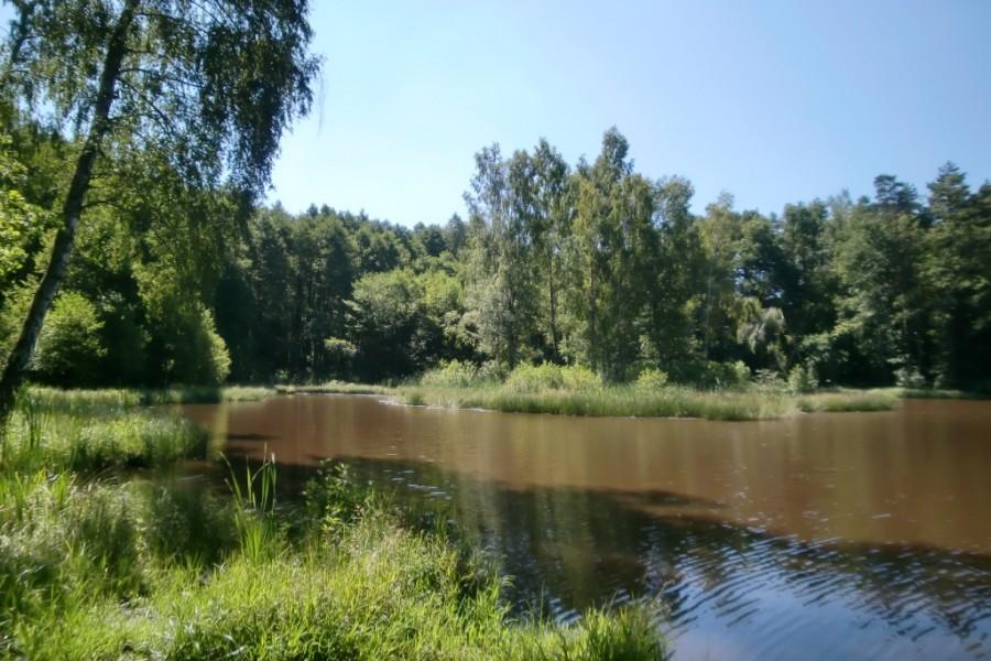 Sześć stawów na Zakrzewie