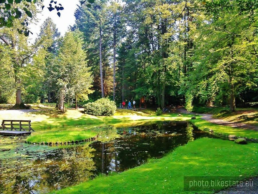 Arboretum-Wirty