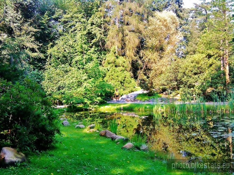 Arboretum-Wirty