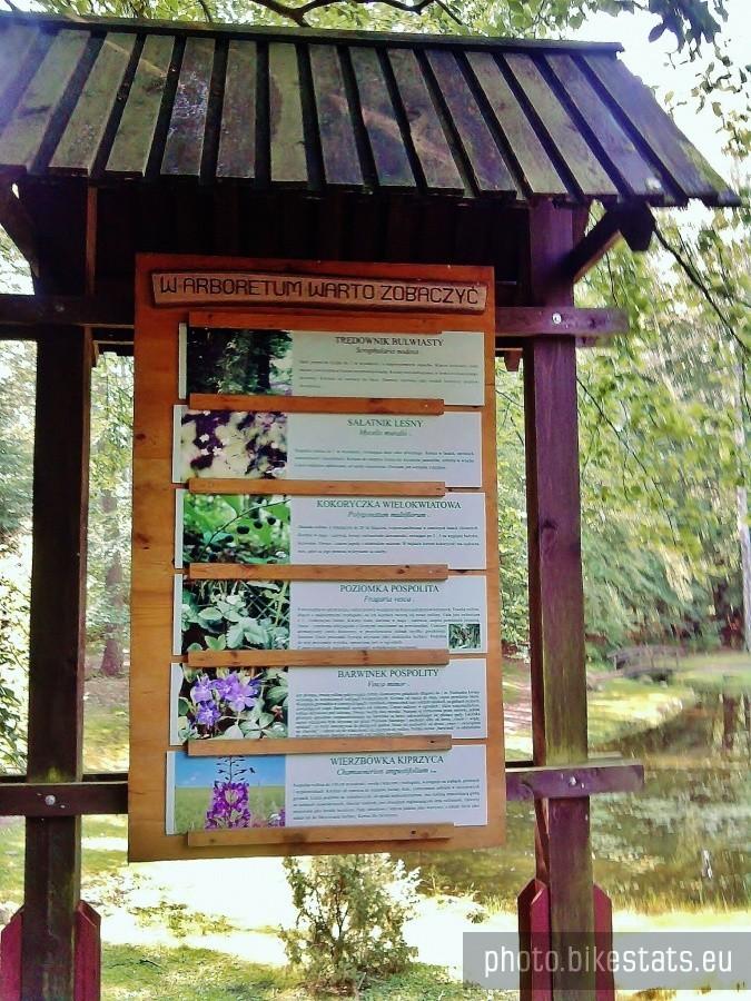 Tablica informacyjna w Arboretum.