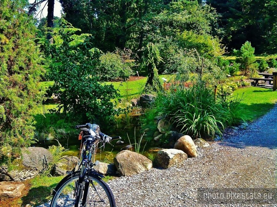 Ogród botaniczny w Arboretum.