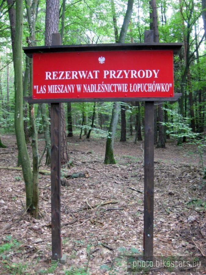 Tablica informacyjna w Puszczy Zielonka.