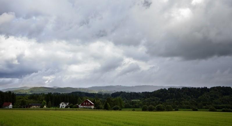 Okolice Hønefoss.