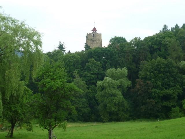 Widok na wieżę zamku w Czchowie