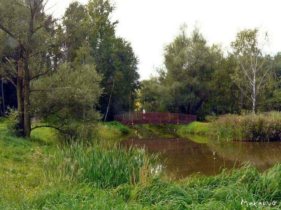 Park Mickiewicza