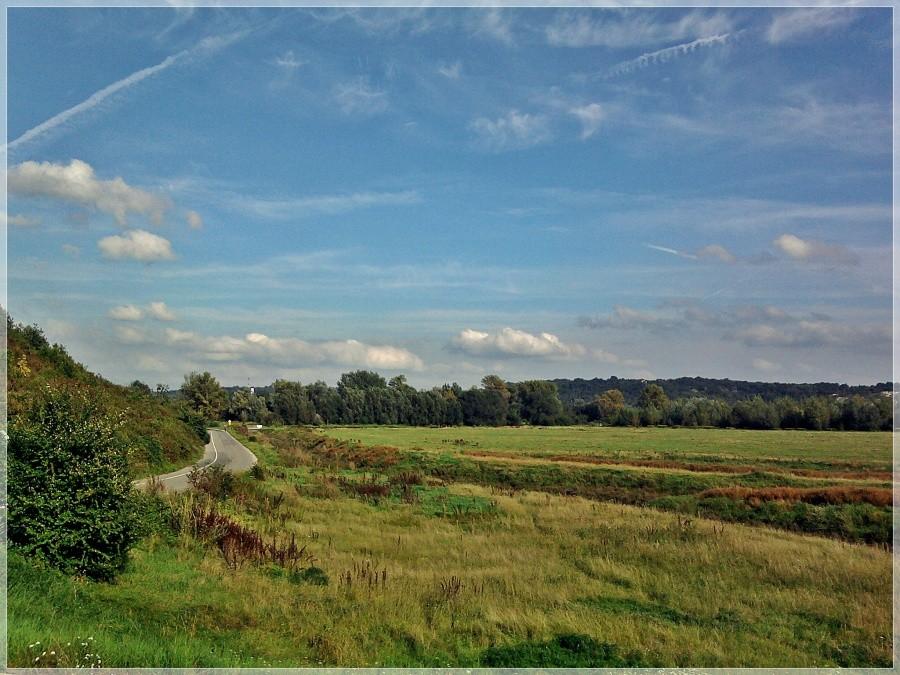 Field and road