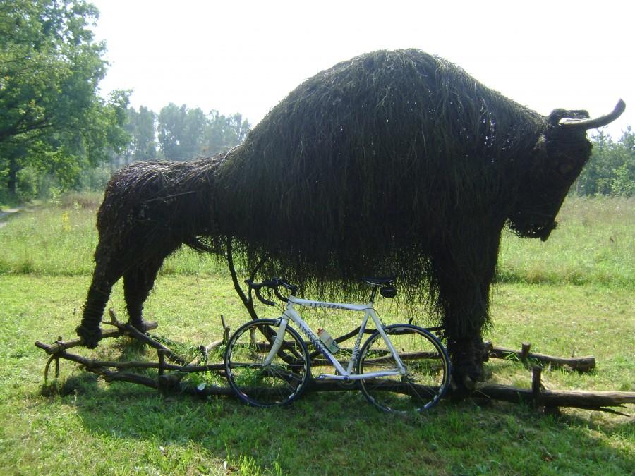Pod Mniowem