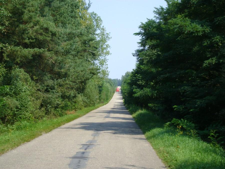 Podjazd pod Modrzewinę