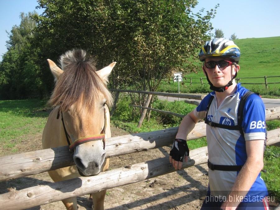 Konik