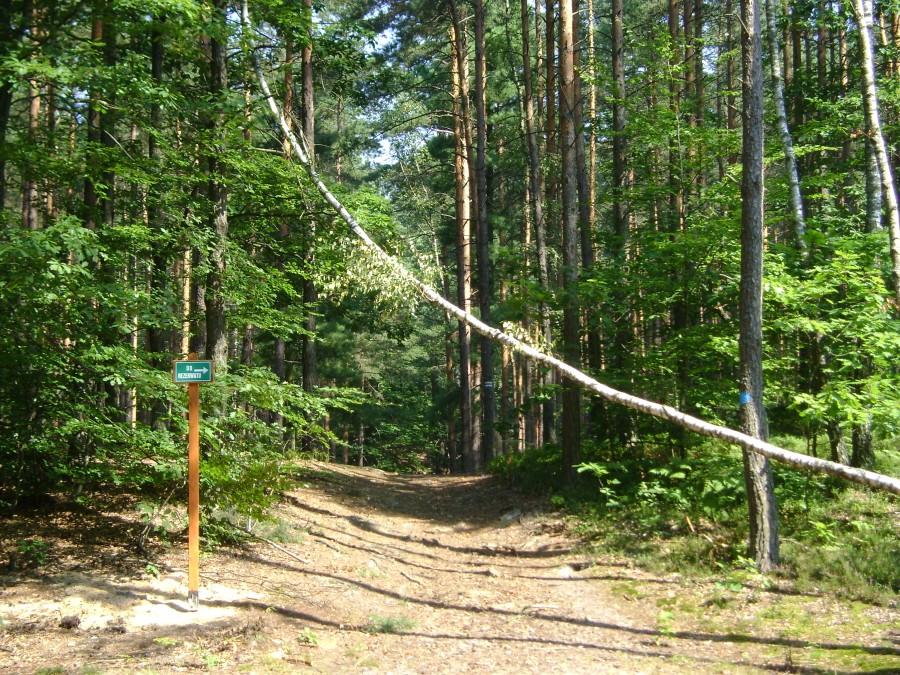 W drodze na Skałki Piekło