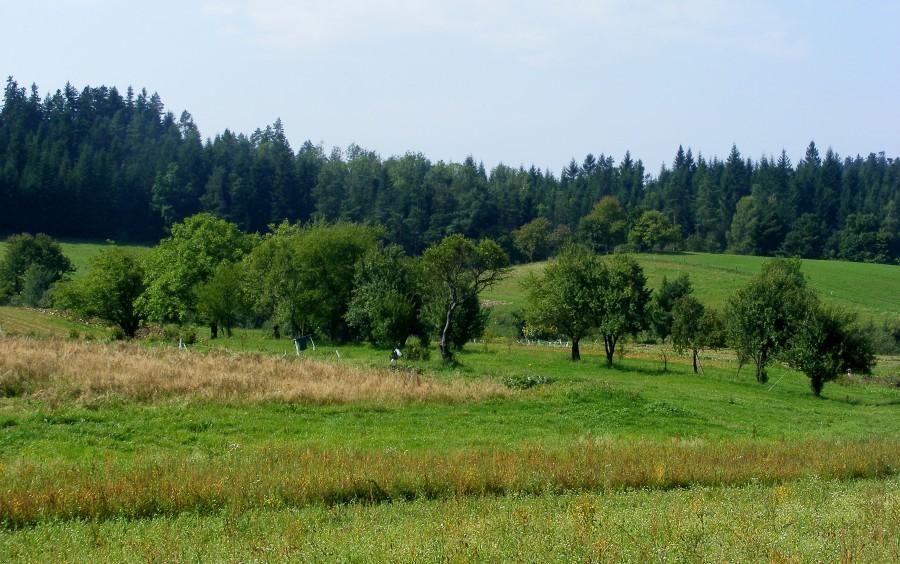 Okolice Manasterca