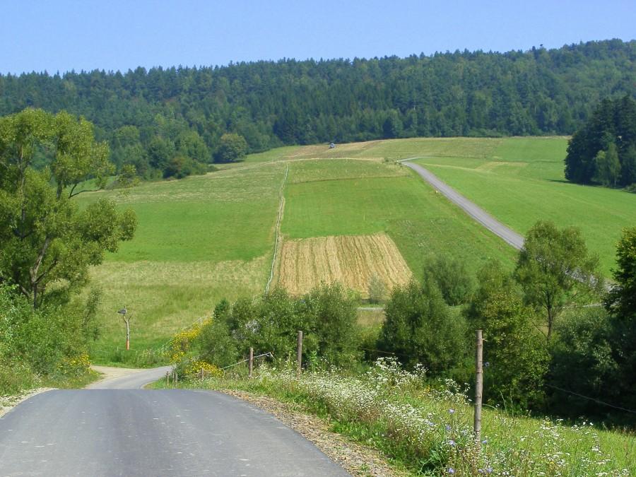 Początek podjazdu w Bezmiechowej