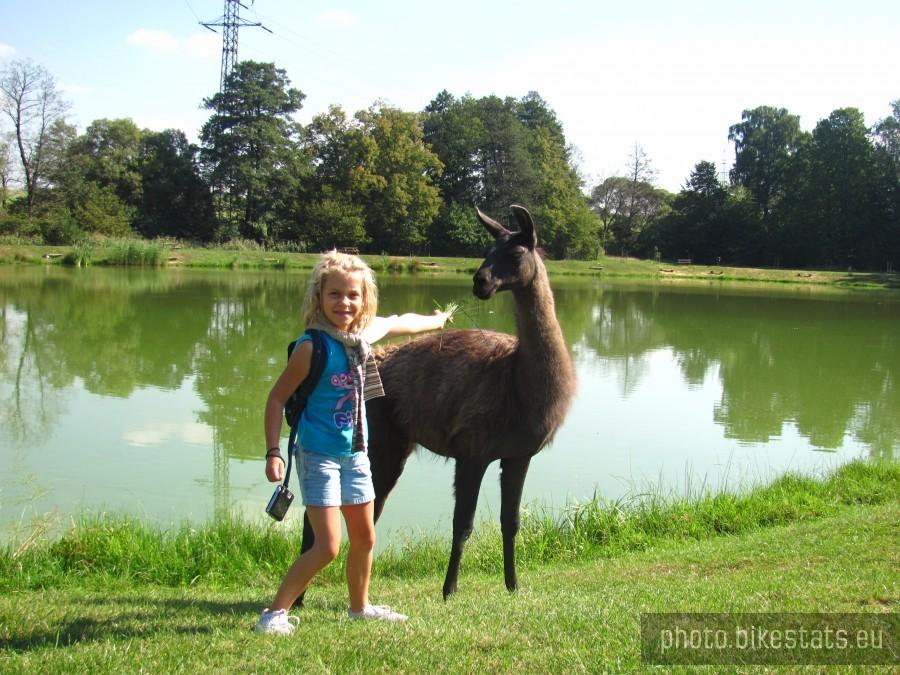 lama z rybołówki