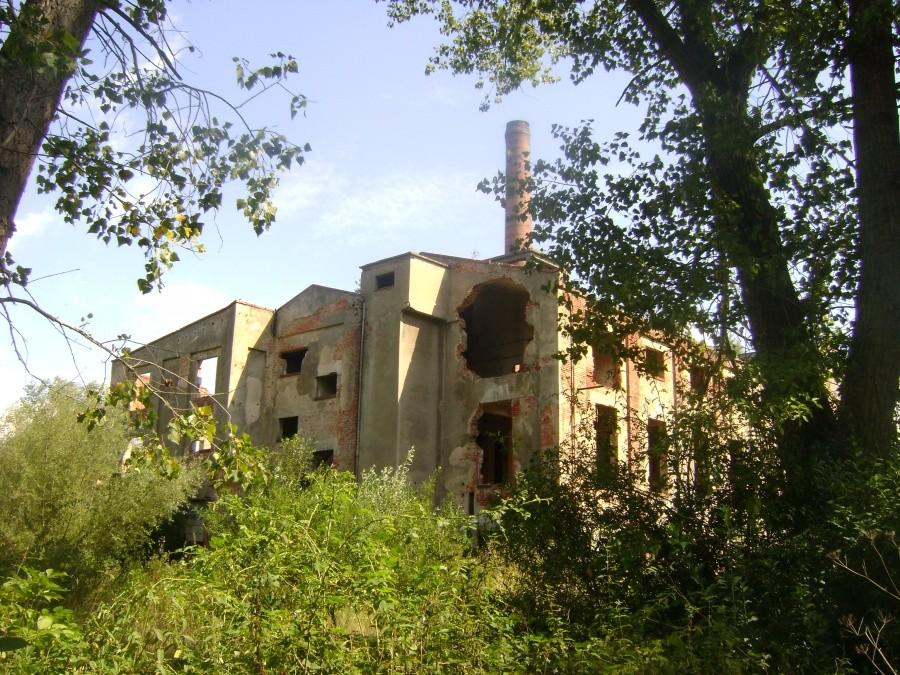 Ruiny w Malczycach