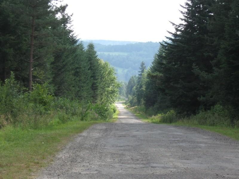 Opuszczam Olchowiec.