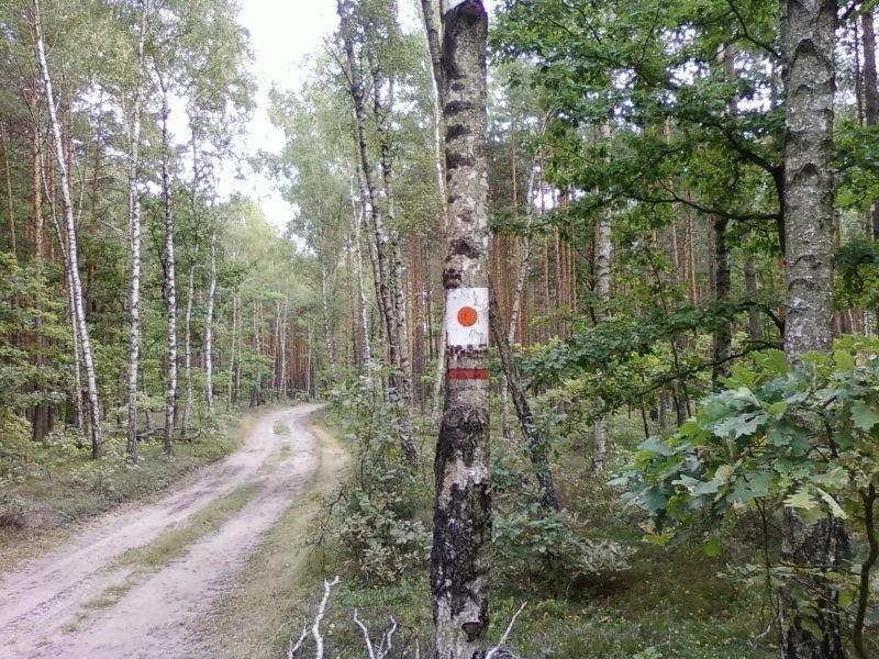Szlak konny i pieszy