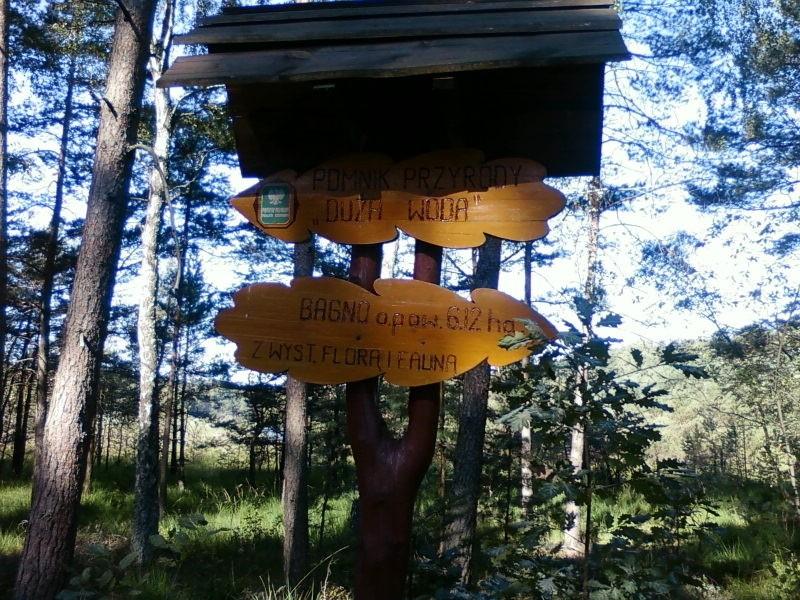 Drogowskaz nad Dużą Wodę