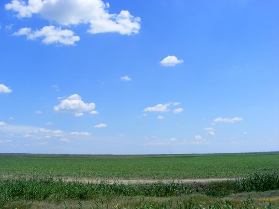 Bardzo zróżnicowany krajobraz....