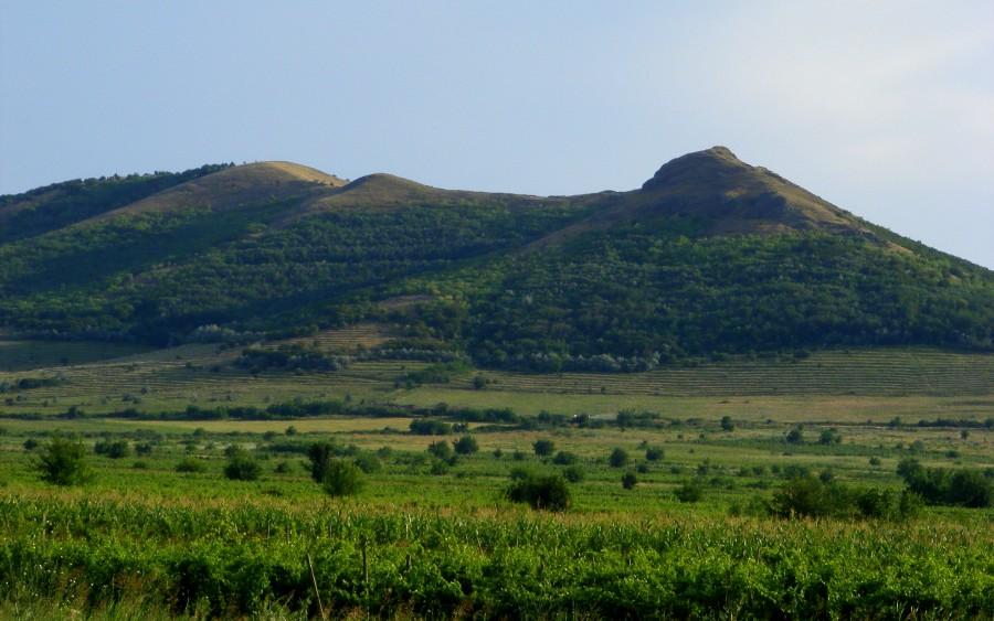 Góreczki po drodze