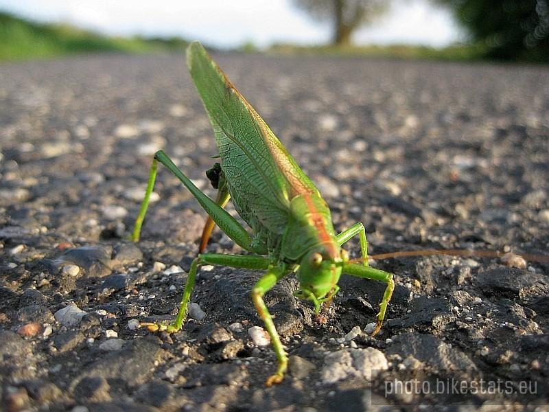Chwilkę pogadaliśmy i każdy rozjechał się w swoje strony :-)