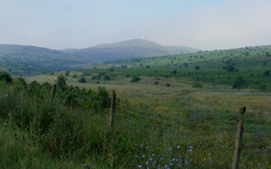 Góreczki po drodze
