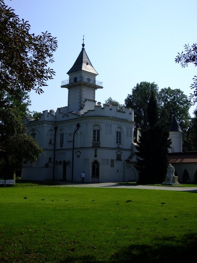 Pałac w Radziejowicach