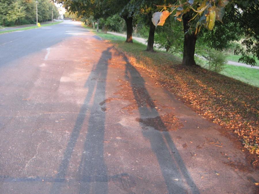 Nasze cienie rowerowe w Parku Lisinieckim