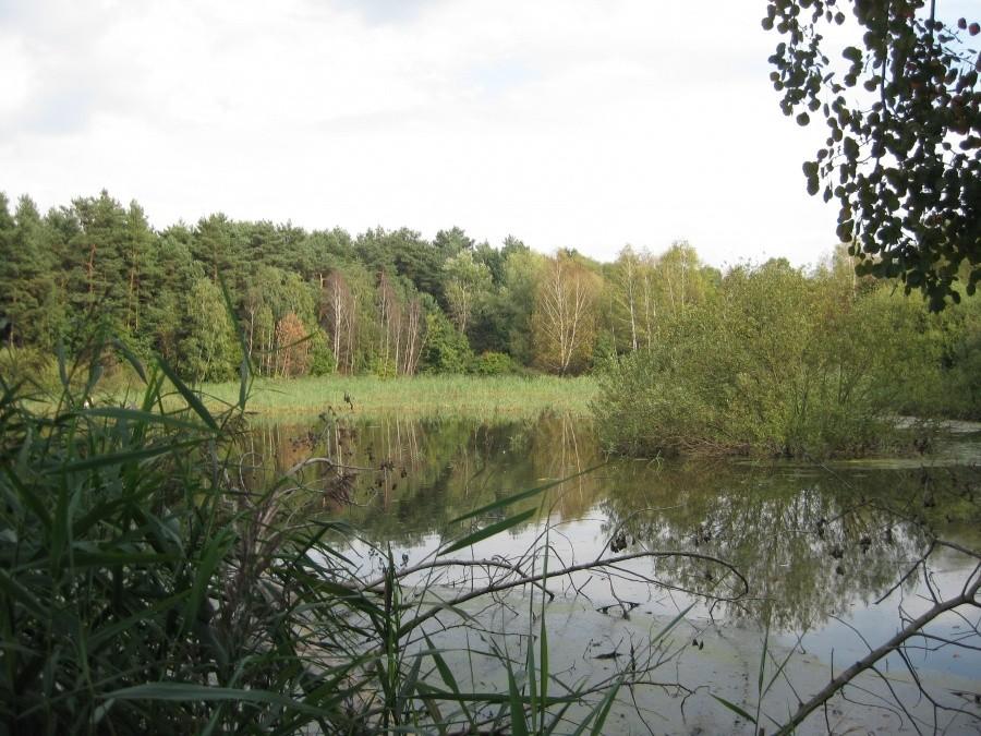Widok na lewo