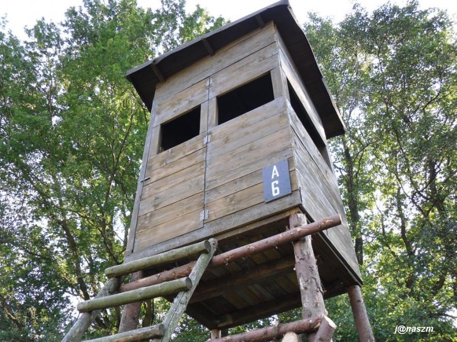 Nowa ambona na skraju lasu