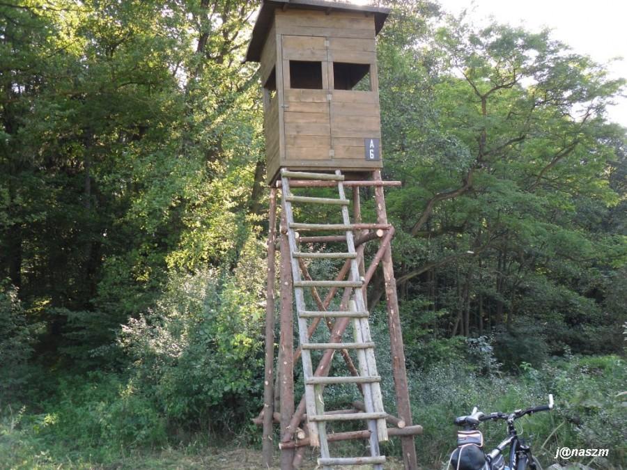 Kellys pod amboną