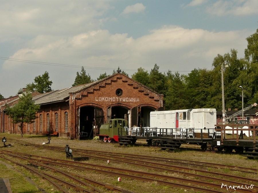 Rudy wąsk.