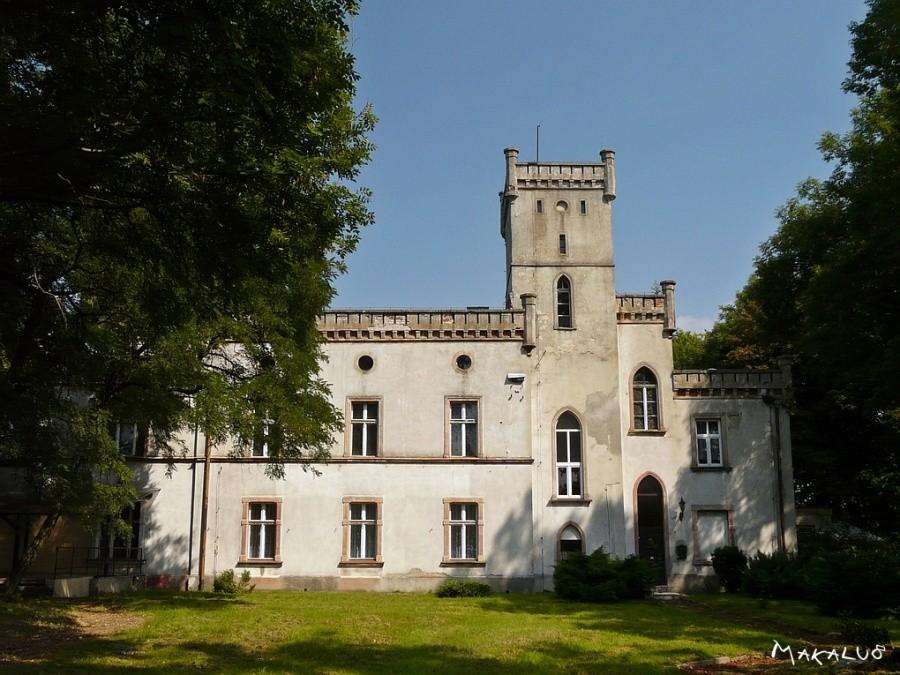 Pałac w Wilczy
