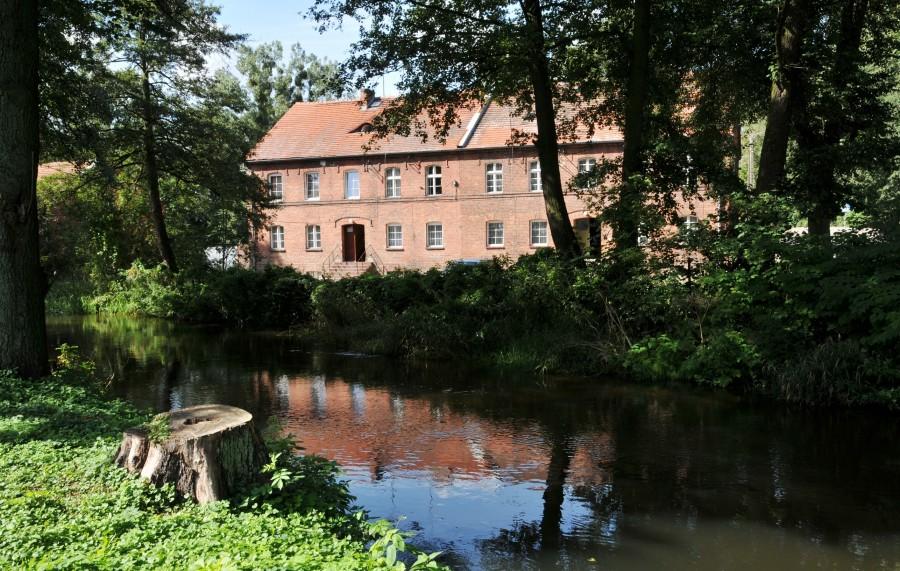 Rzeka Wierzyca w Pelplinie
