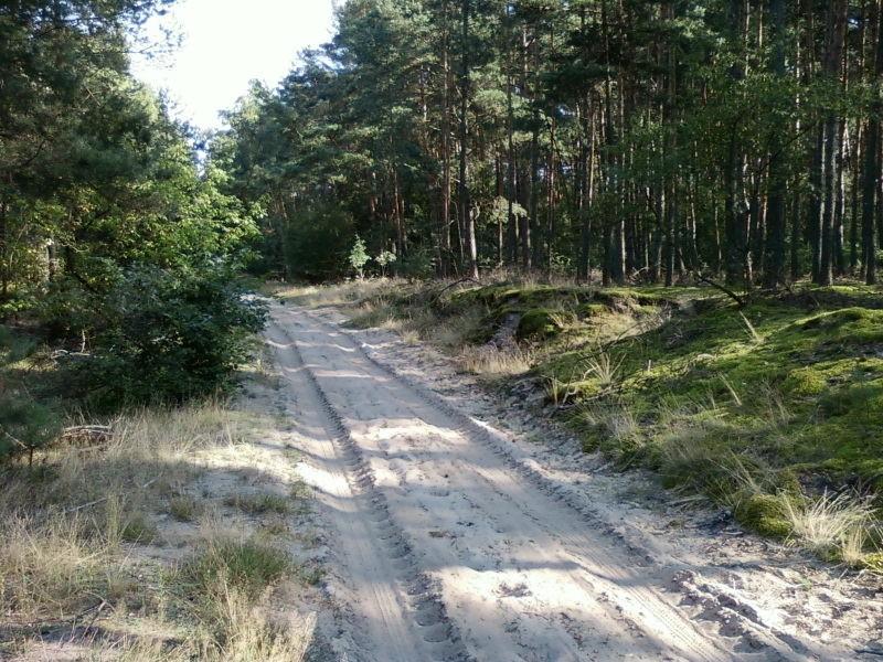 Fragment szlaku