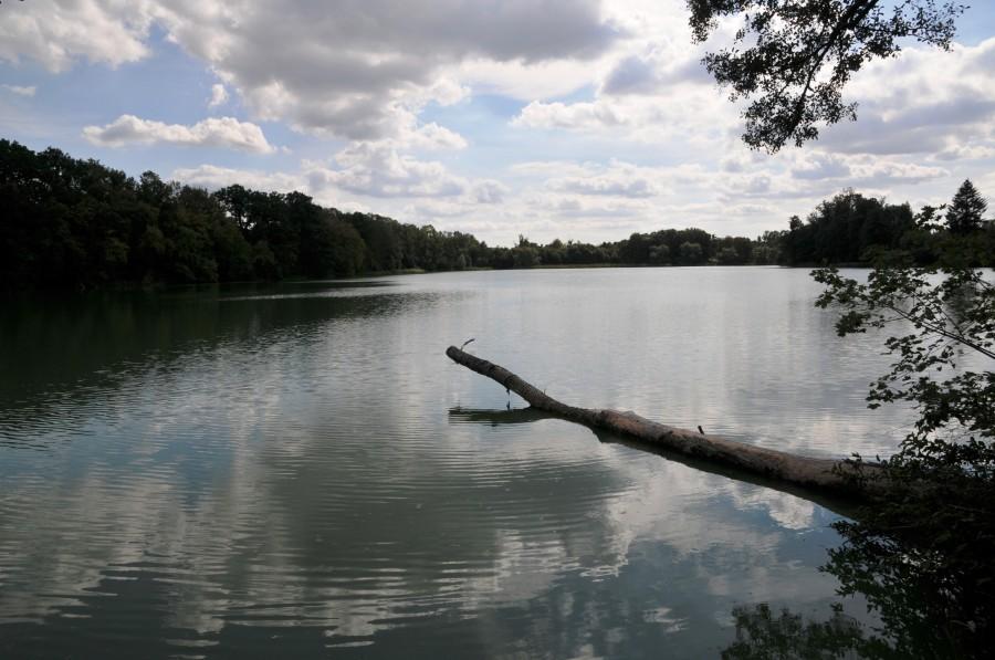 Jezioro Zduńskie
