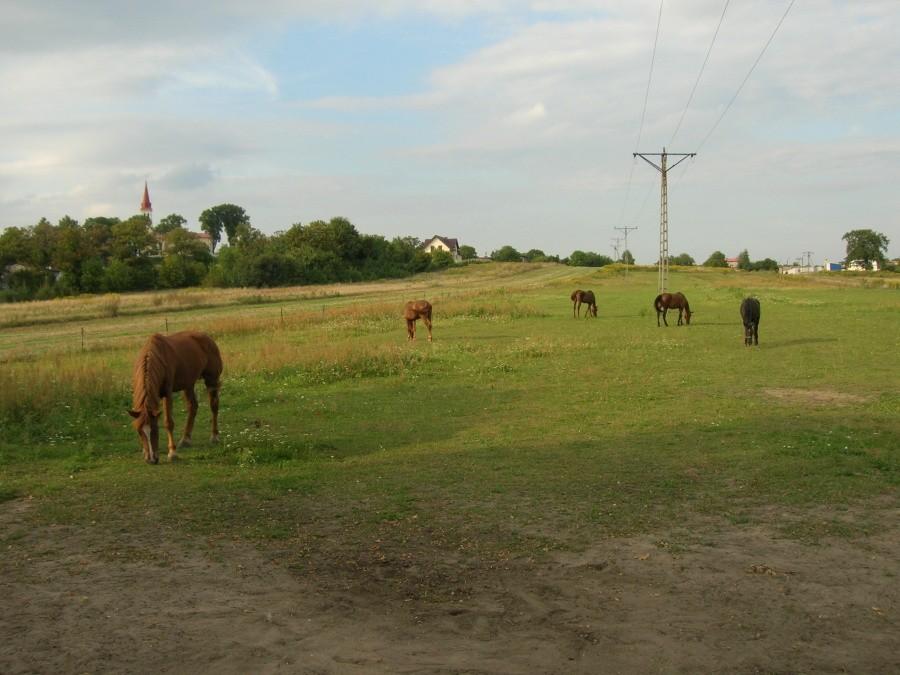 paślaki