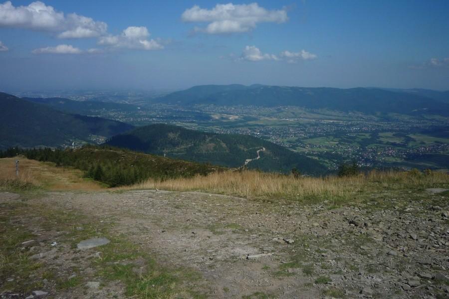 Widoczek