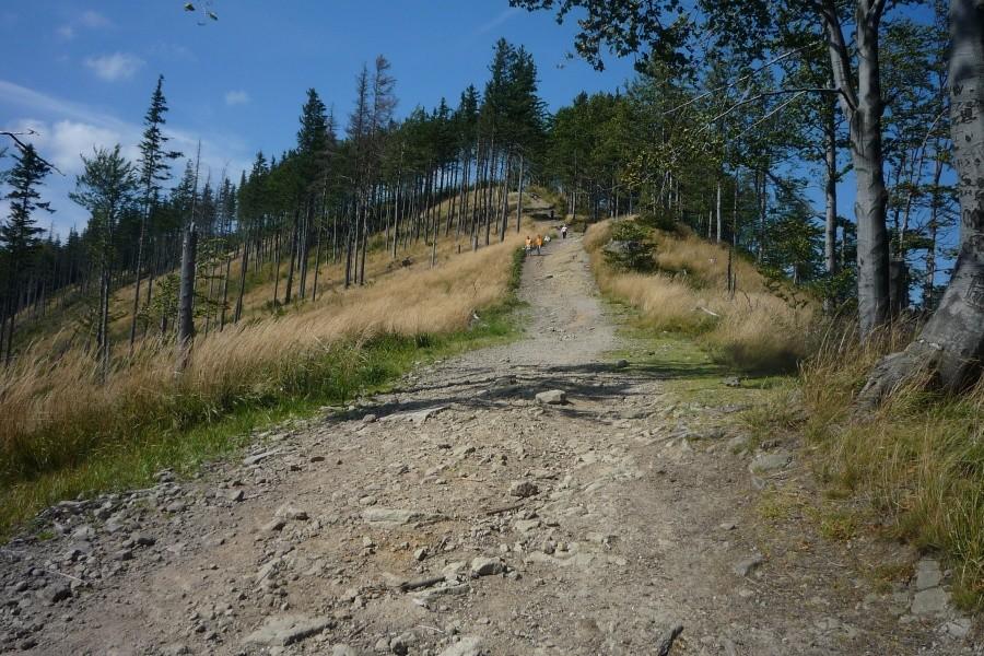 Ostatni podjazd a właściwie podejście przed Salmopolem- masakra
