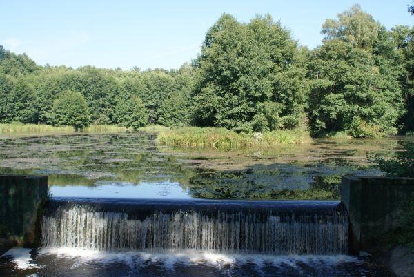 staw nad Gacią