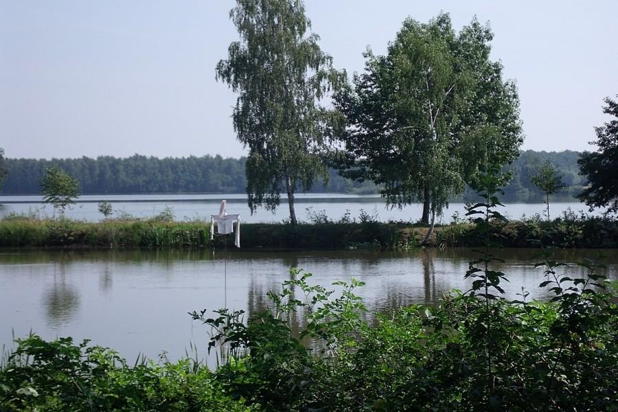 Stawy adolfińskie