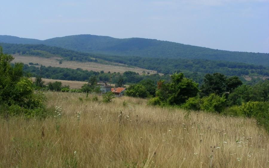 Nieoczekiwana zmiana krajobazu