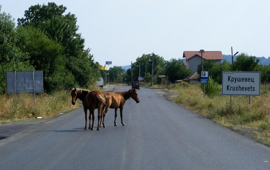 Na takie zasadzki trzeba być przygotowanym;)