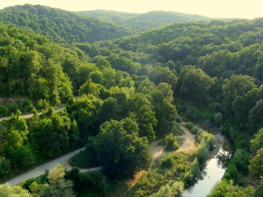 Widok z mostu na rzeczkę w dole