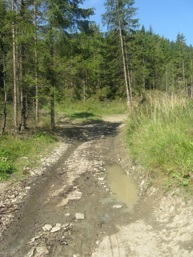 Terenowo... ;-)