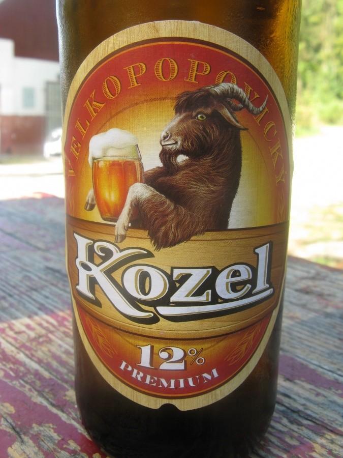 Kozel