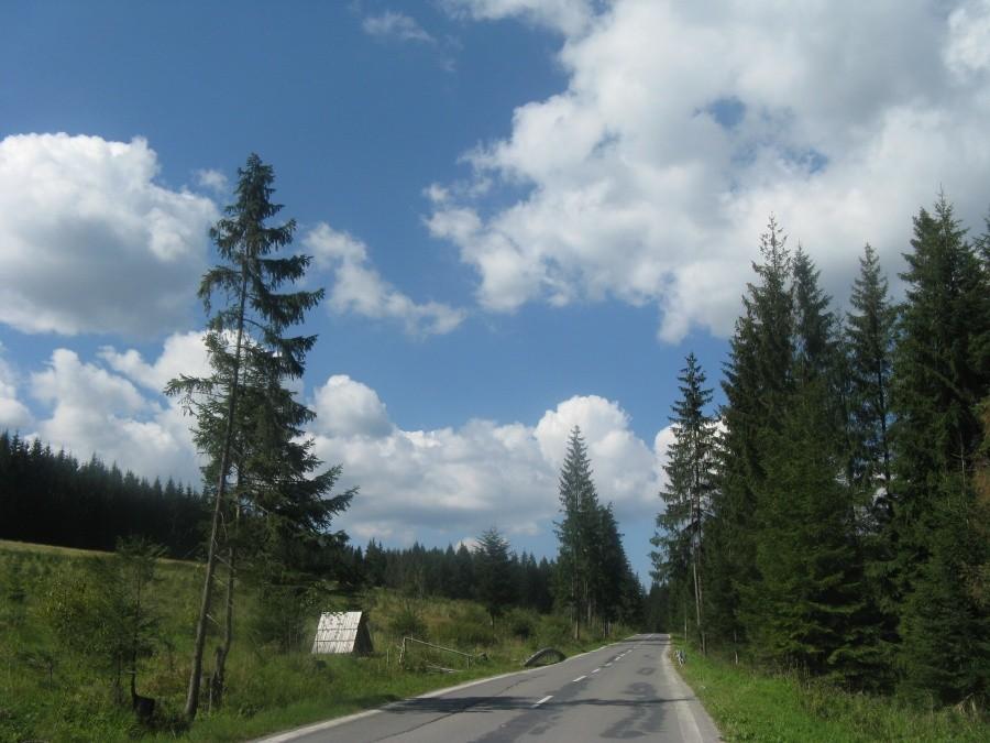 Widoczki ;)